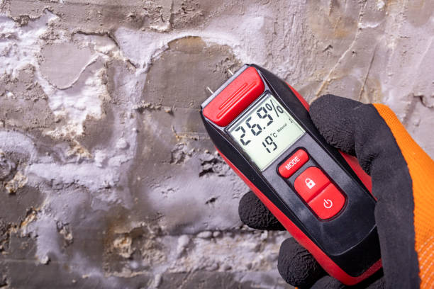 Best DIY Mold Remediation Support Services in Enetai, WA